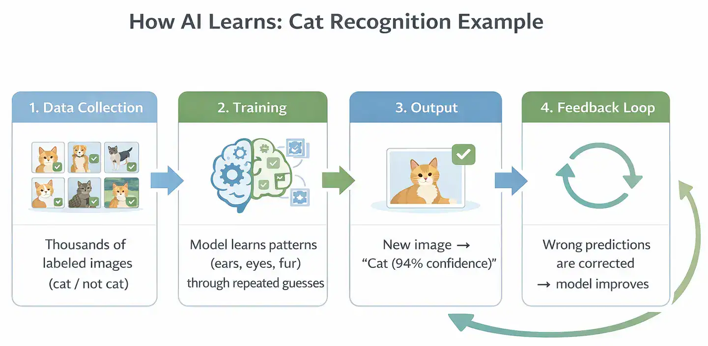 ow-AI-works-—-four-step-process-using-cat-image-recognition-example